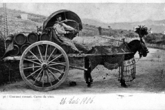Costumi romani. Carro da vino