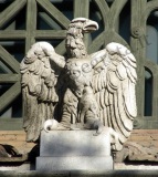 Aquila