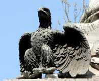 Aquila