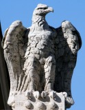 Aquila