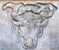 Bufalo