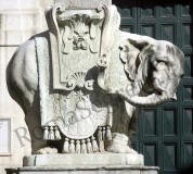 Elefante