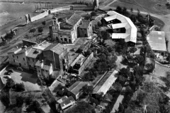 Madonna del Divino Amore