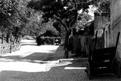 Monte Testaccio