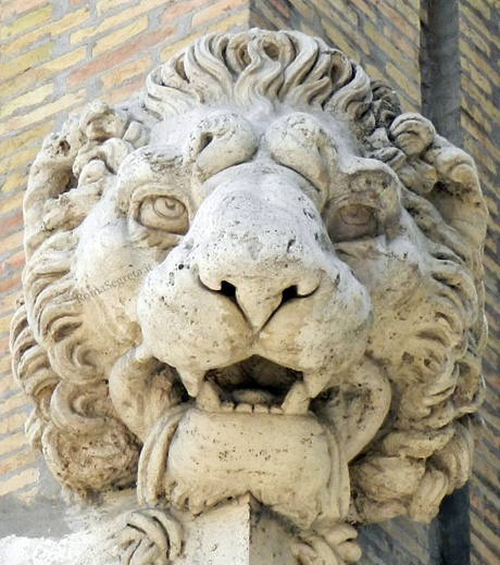 testa di leone