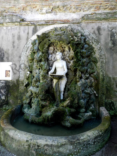 fontana di venere a villa farnesina
