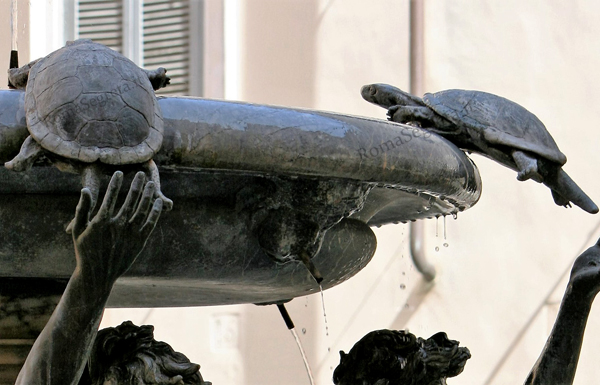 dettaglio della fontana delle tartarughe