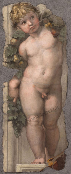 putto reggifestone di raffaello