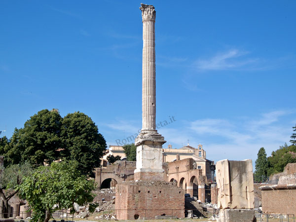 Vedi su Google Maps colonna di foca