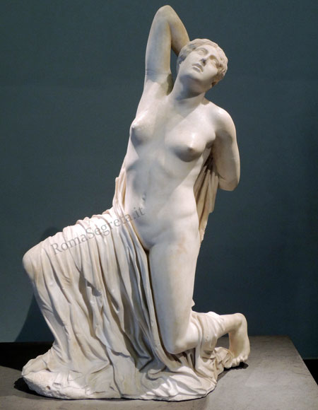 niobide morente