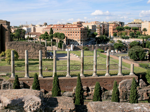 colonne del tempio di venere e roma