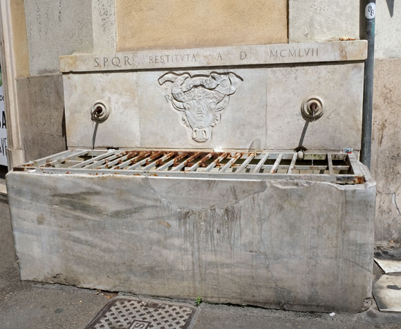 fontana del bufalo