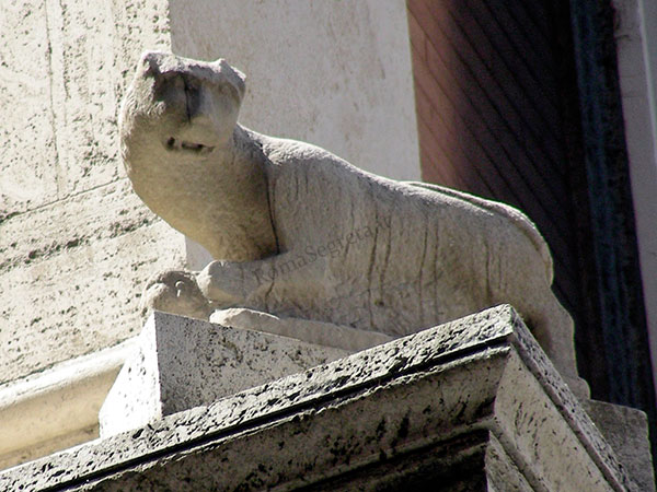 Vedi su Google Maps via della gatta