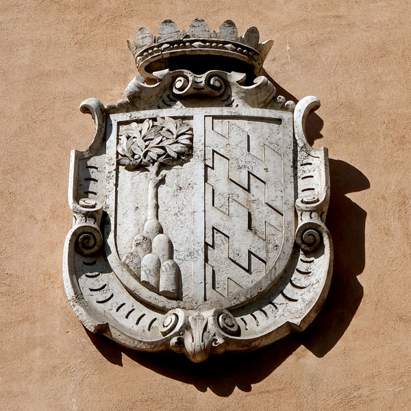 stemma cesi salviati