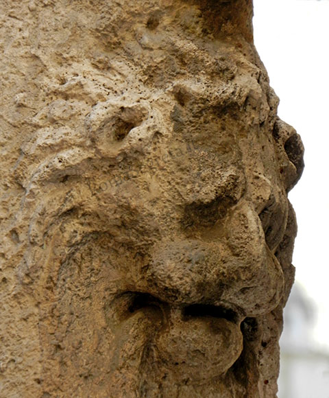 testa leonina a vicolo savelli