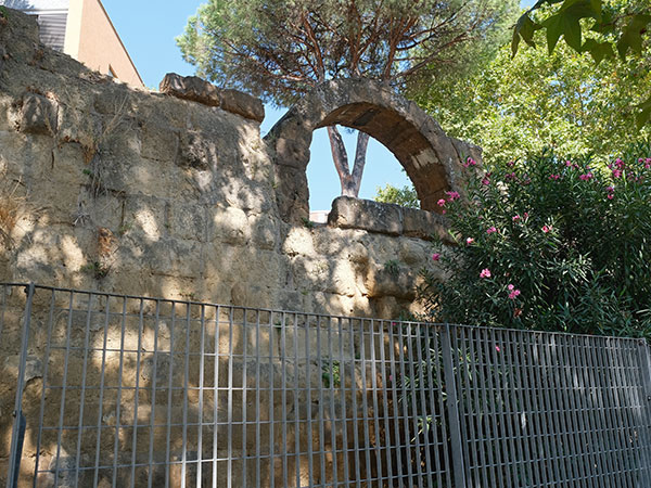 Vedi su Google Maps mura serviane