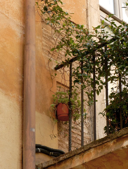 muri romani a via di s.paolo alla regola