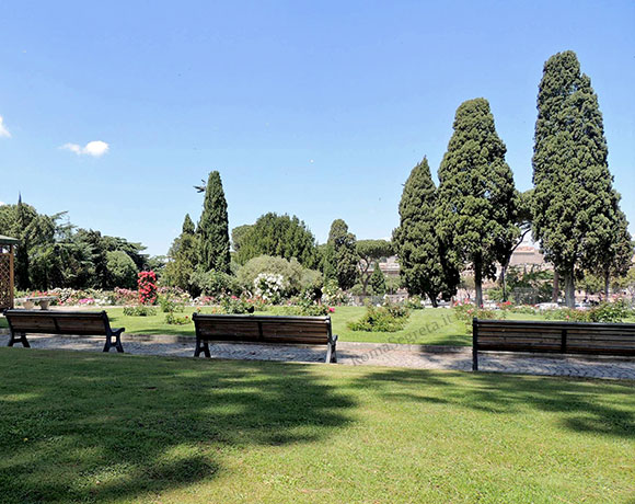 cipressi del cimitero ebraico presso il roseto comunale