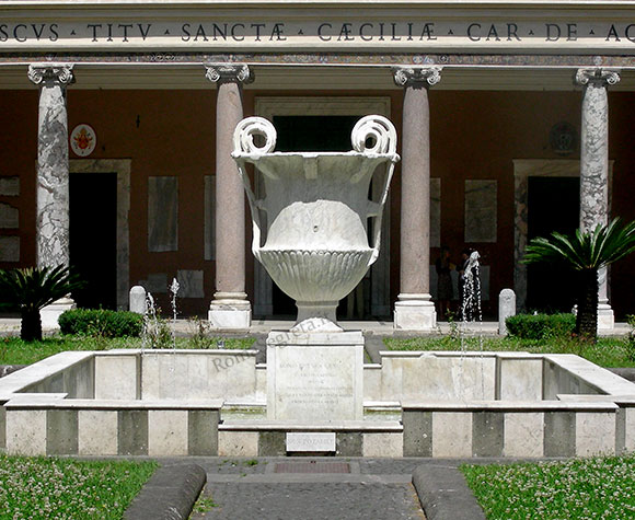 cantharus a s.cecilia in trastevere