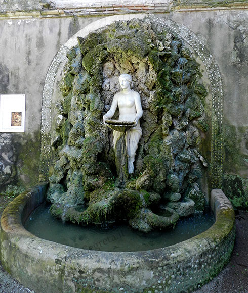 fontana di venere a villa farnesina